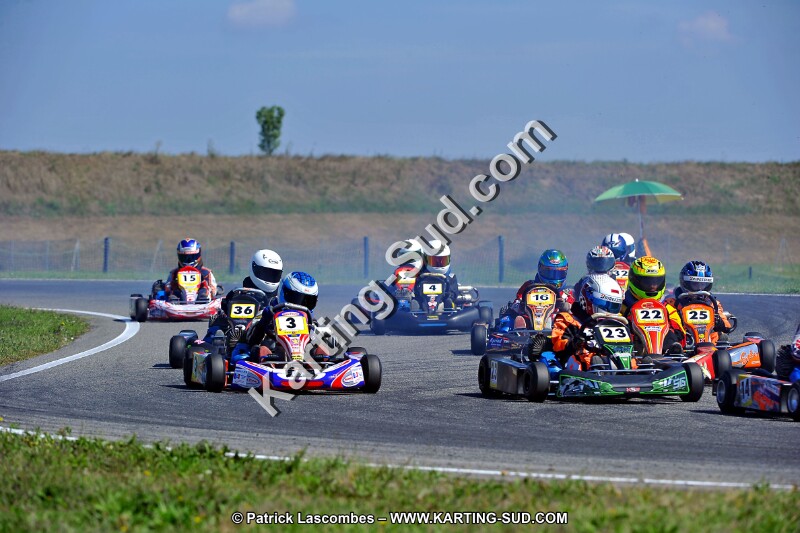 DSC_ (1311).jpg